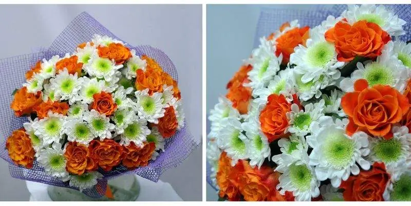 Осень - Весна