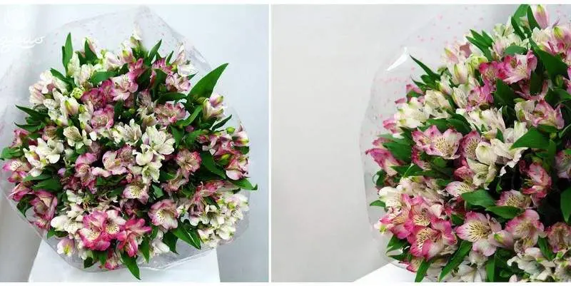 Розовое Трио