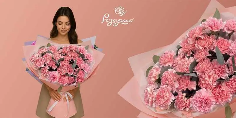 Огромный букет светло-розовых гвоздик, фронтальный вид, в руках у девушки