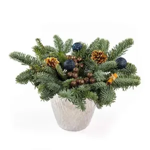 Зимняя сказка